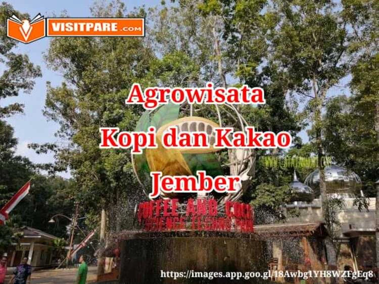 Agrowisata Kopi dan Kakao