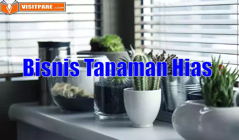 Bisnis Tanaman Hias