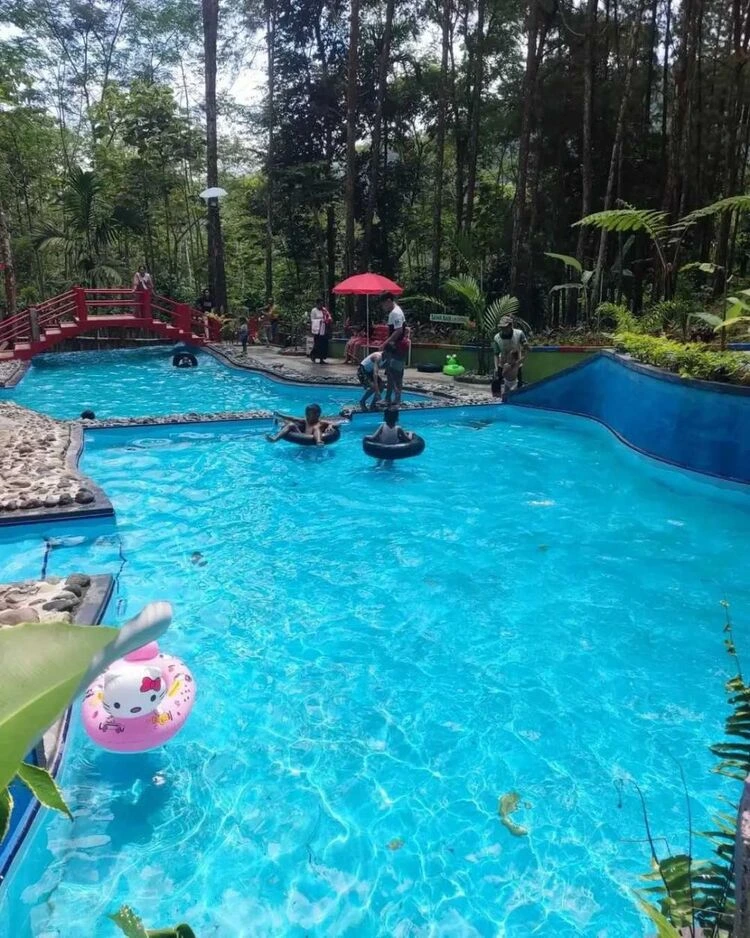 Kolam Renang di Kawasan Hutan