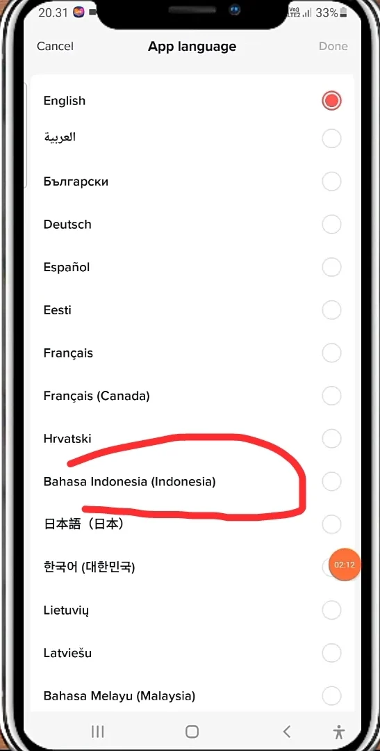 bahasa Indonesia