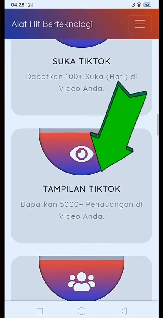 tampilan atau penggemar tiktok