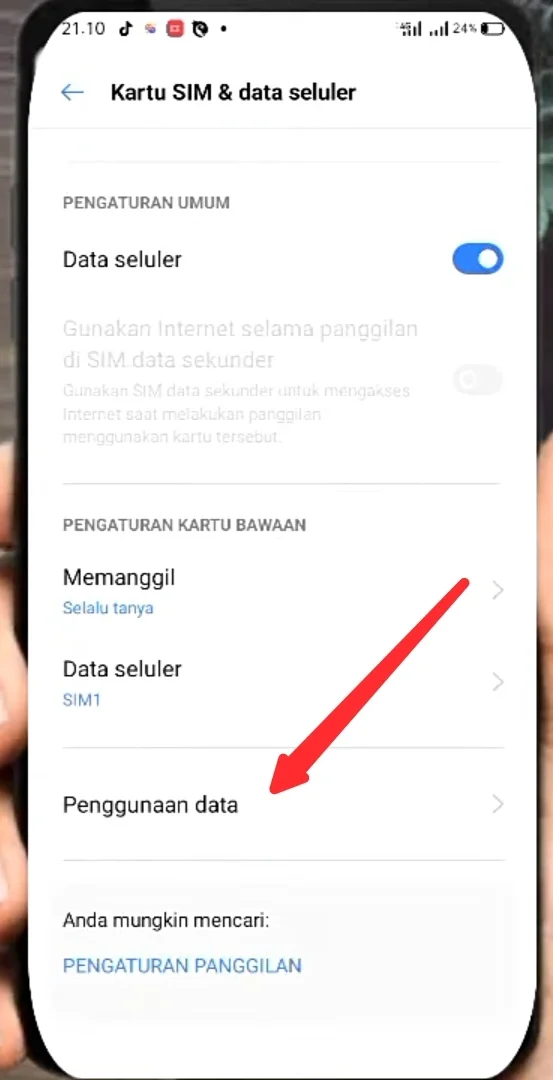 penggunaan data.