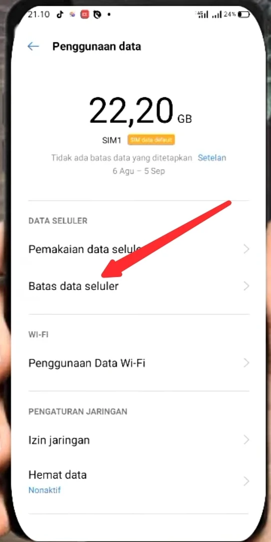 batas data seluler