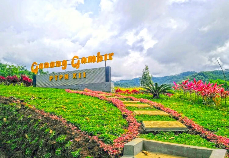 Perkebunan Teh Gunung Gambir