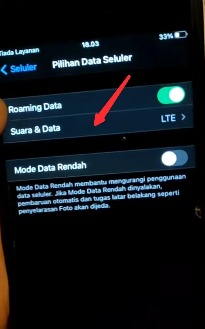 suara dan data