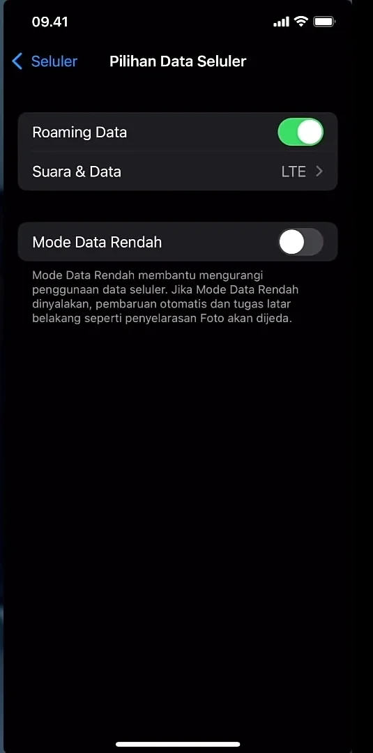 suara dan data.