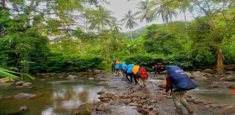 Kawasan Hutan Rimbun