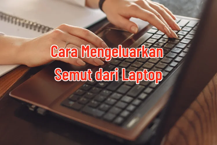 Cara Mengeluarkan Semut dari Laptop