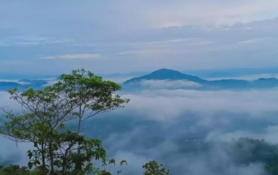 Bukit Banyon Trenggalek