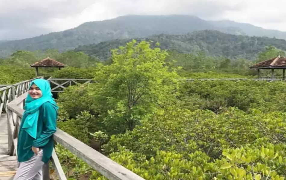 Hutan Mangrove Cengkrong Trenggalek