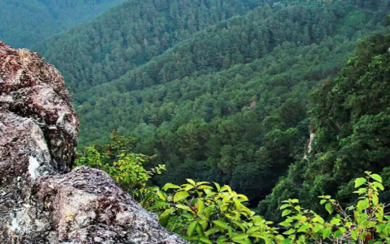 Gunung Prongos Trenggalek