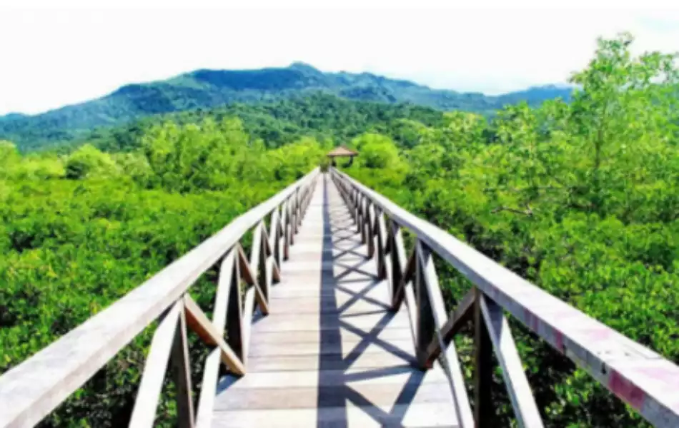 Pantai Cengkrong Trenggalek