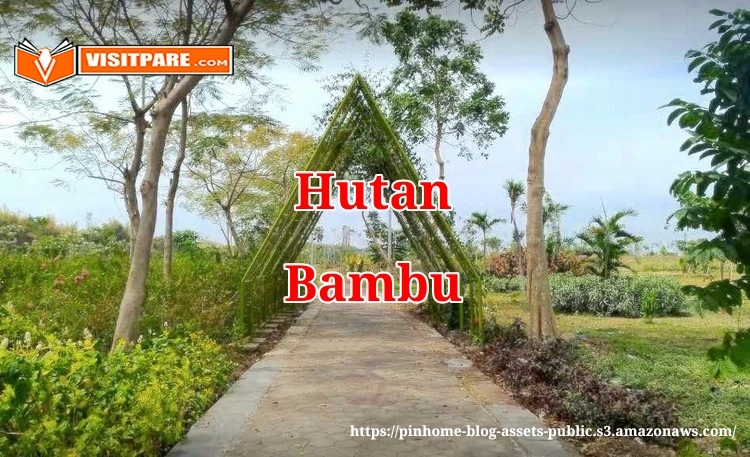 Hutan Bambu