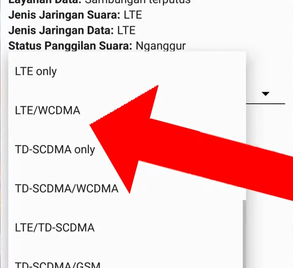 opsi LTE/WCDMA