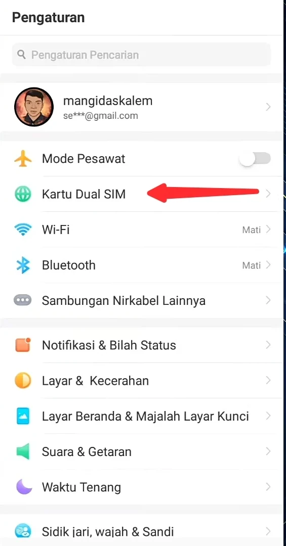 kartu dual SIM