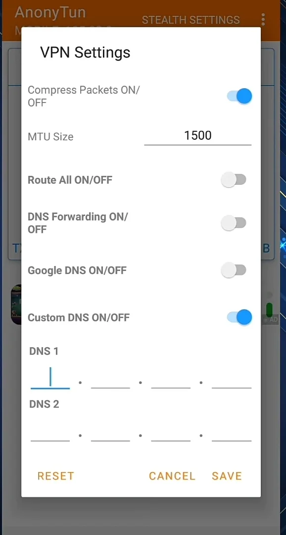 custom DNS On/off