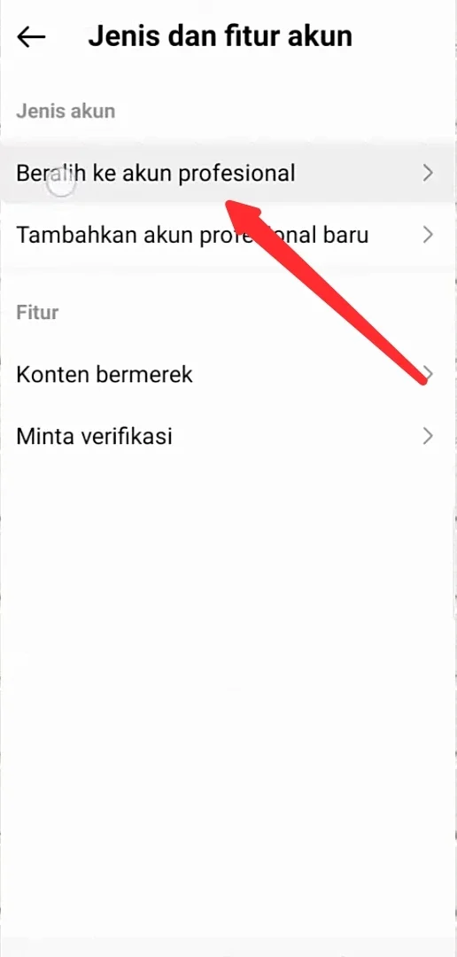 beralih ke akun profesional