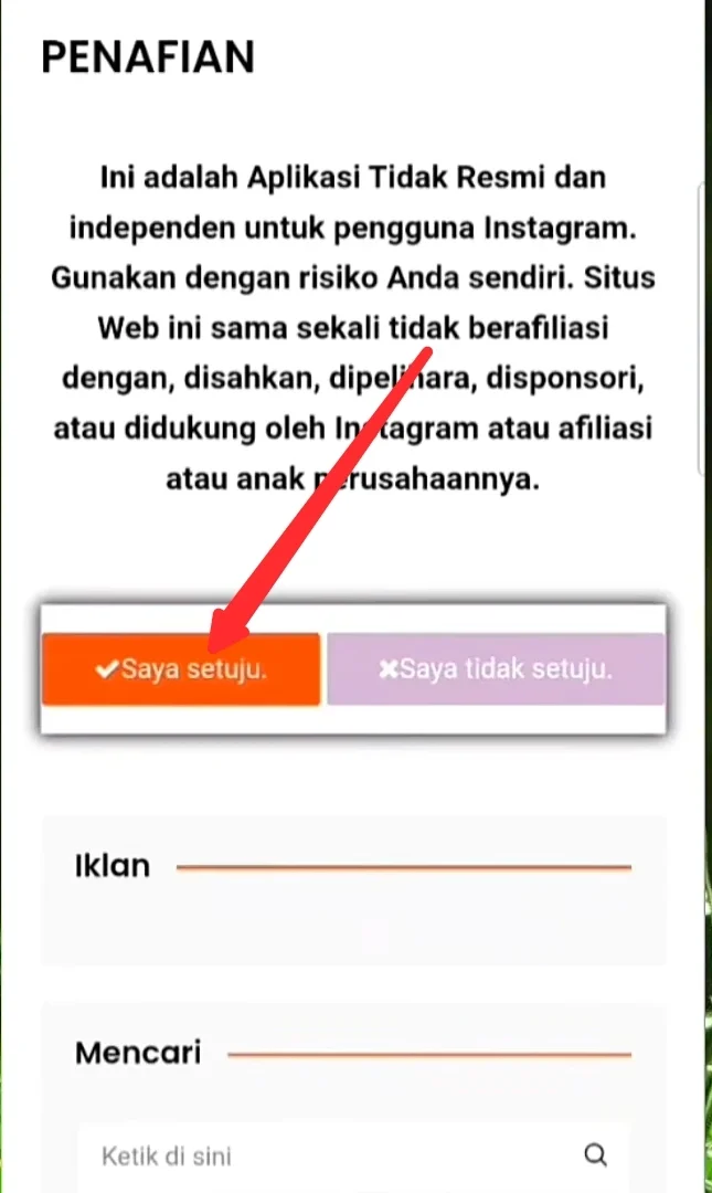 opsi saya setuju