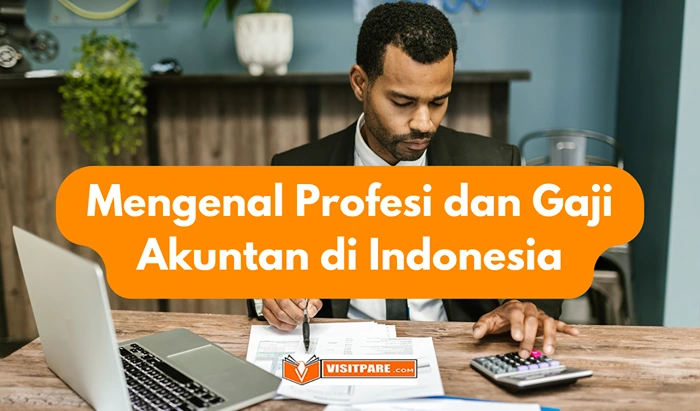 Mengenal Profesi Accountant