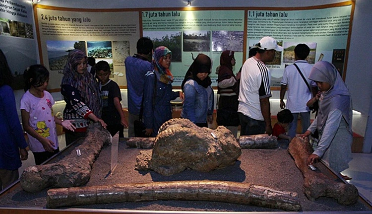 Harga Tiket Masuk Museum Daerah Lumajang