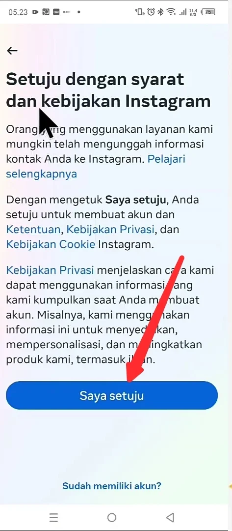 saya setuju