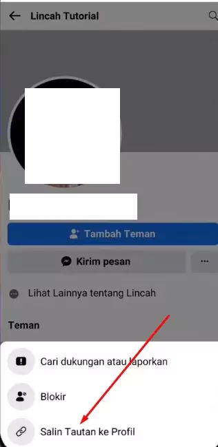 Lupa Kata Sandi Facebook dan Nomor Tidak Aktif Lagi