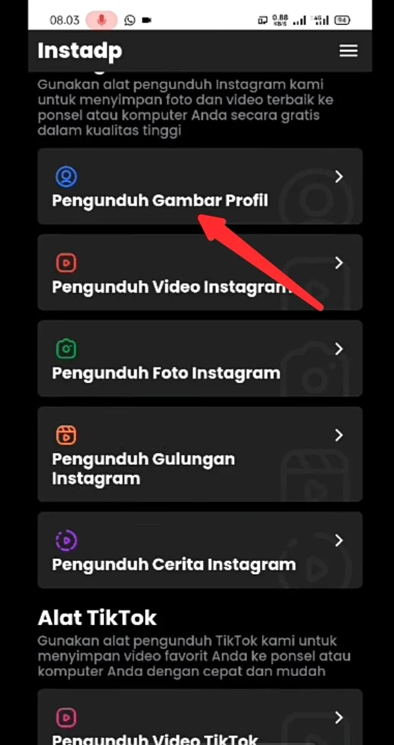 pengunduh gambar profil