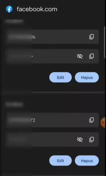 Cara Melihat Kata Sandi FB Sendiri di Pengaturan
