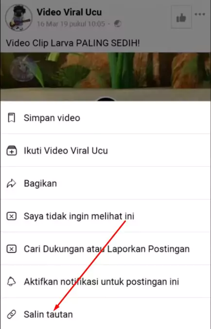 Cara Download Video di Facebook