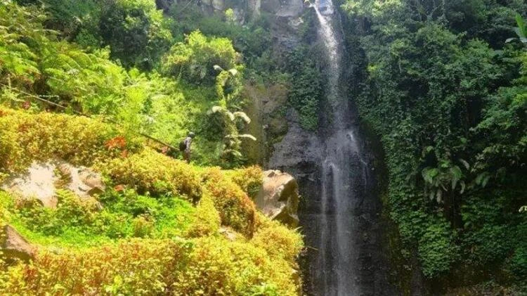 Informasi Umum Air Terjun Watu Lapis