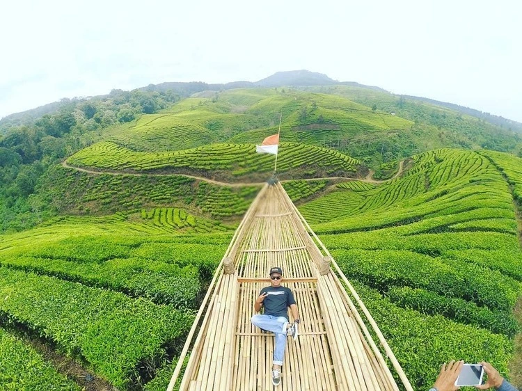 Jam Buka Kebun Teh Kertowono Gucialit