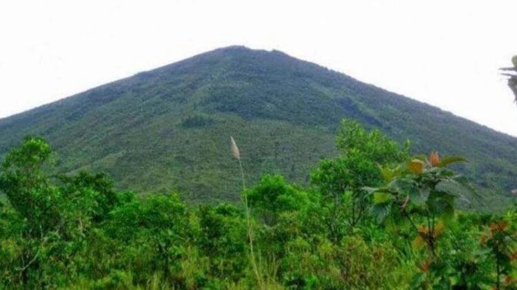 Informasi Umum Gunung Lemongan