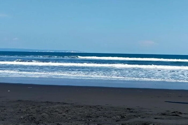 Daya Tarik Pantai Wotgalih Lumajang