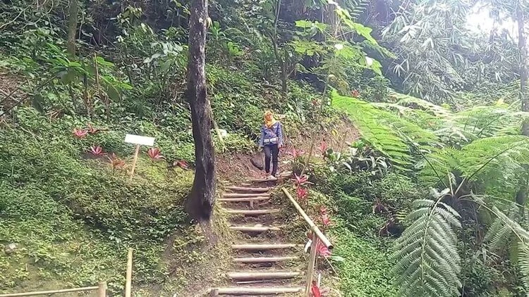 Jam Buka Air Terjun Watu Lapis