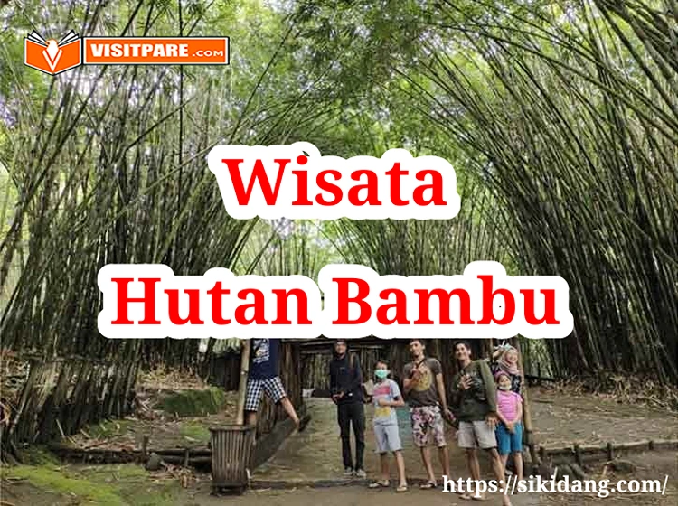 Wisata Hutan Bambu