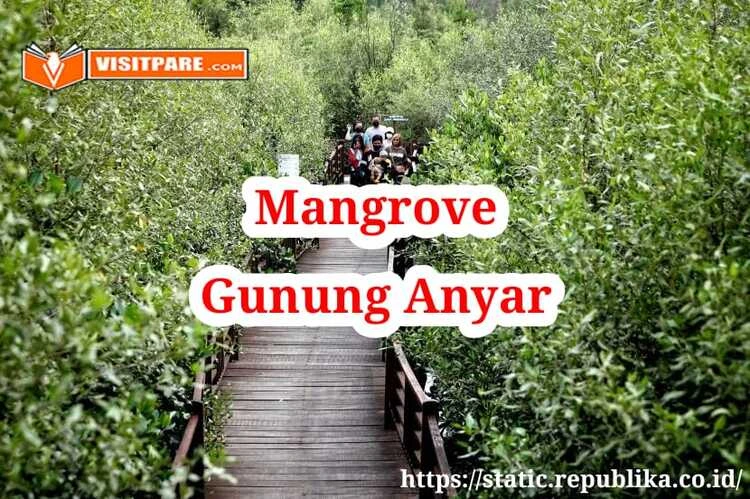 Mangrove Gunung Anyar