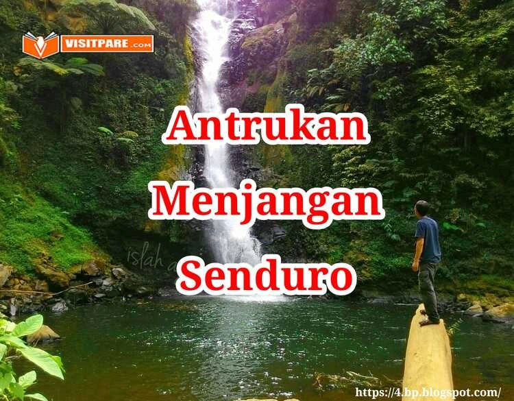 Antrukan Menjangan Senduro