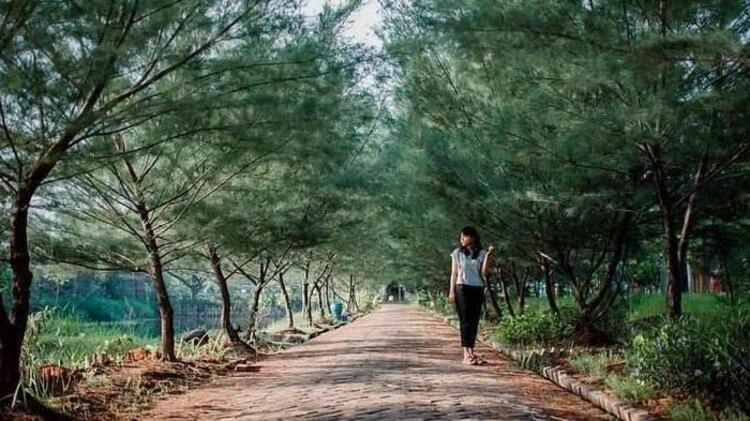 Fasilitas di Hutan Kota Pakal