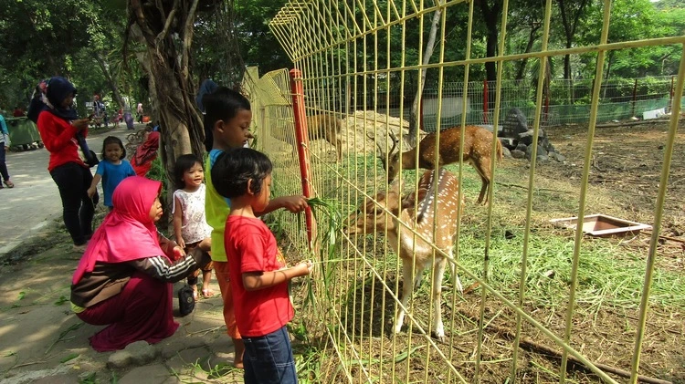 Jam Buka Kebun Bibit Wonorejo