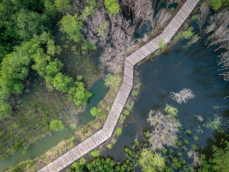 Jam Buka Mangrove Gunung Anyar