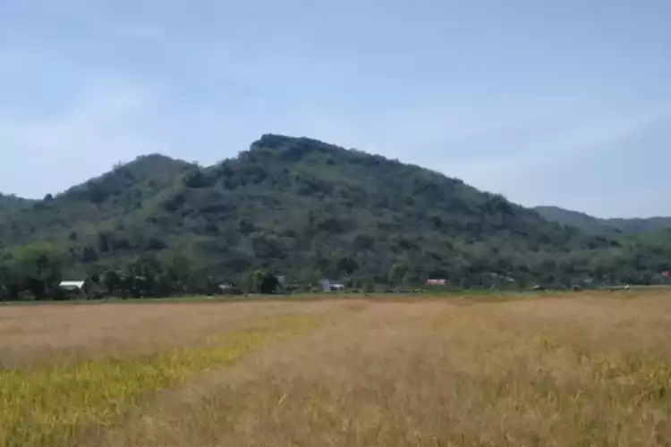 Gunung Bancak Magetan