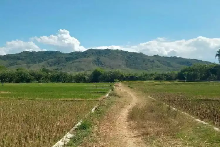 Gunung Bancak Magetan