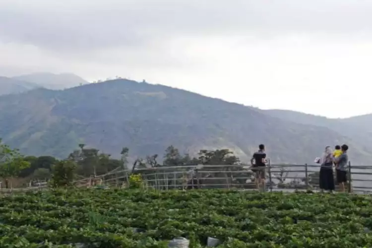 Gunung Bancak Magetan