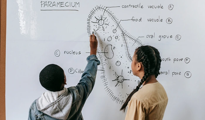 Mengenal Tentang Ilmu Jurusan Biologi