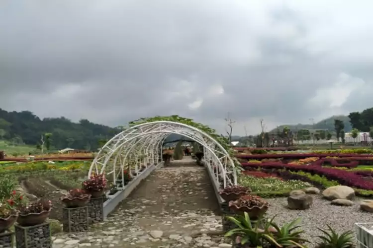 Kebun Bunga Refugia Magetan