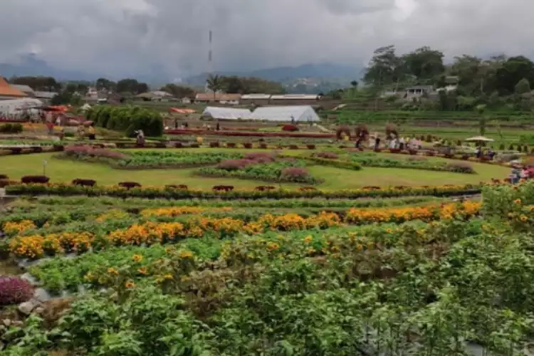 Kebun Bunga Refugia Magetan