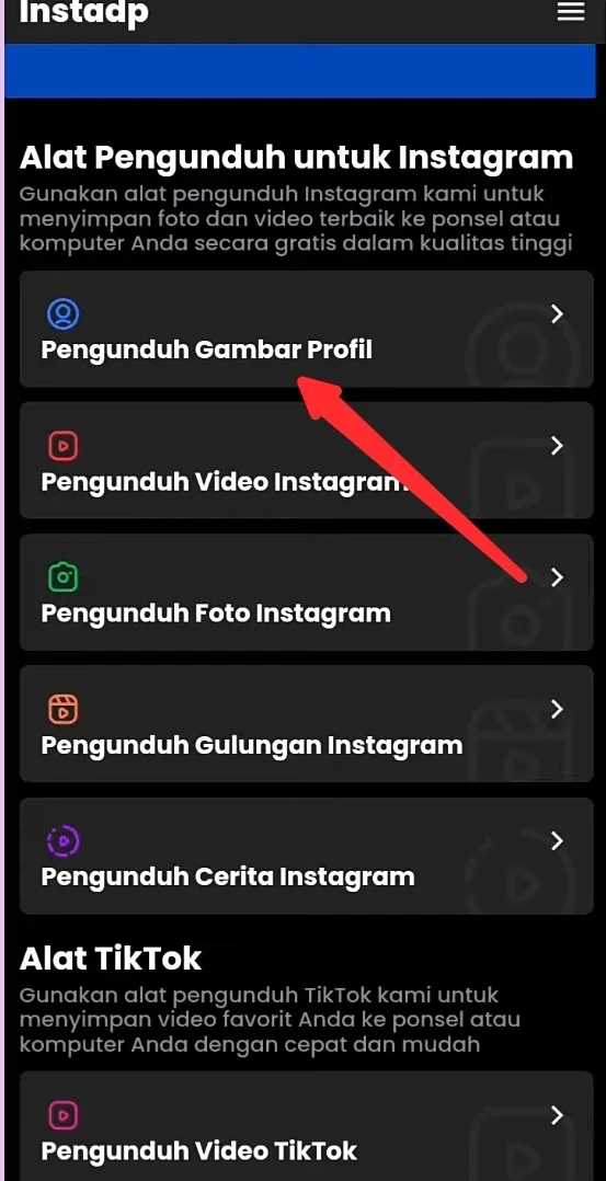 pengunduh gambar profil.