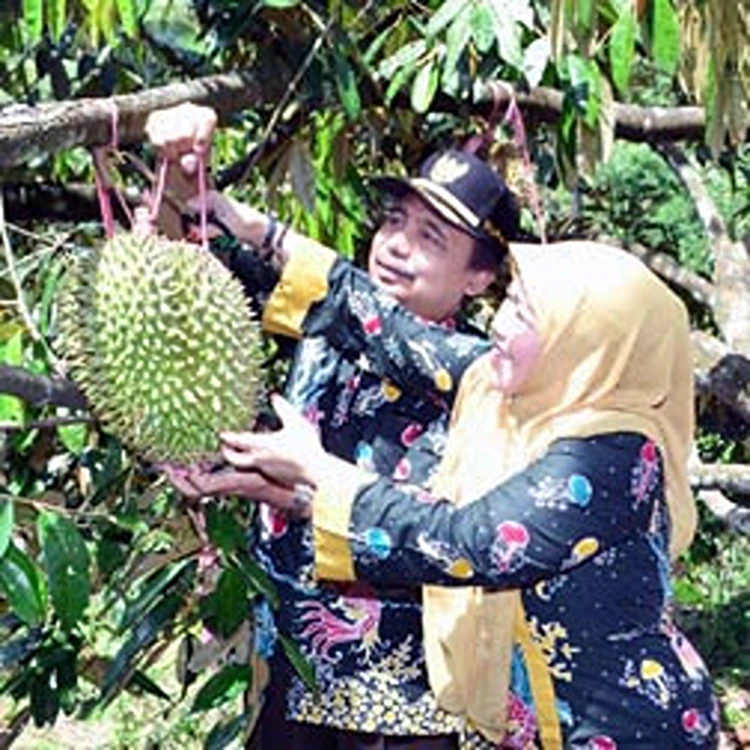 Fasilitas di Agrowisata Royal Family